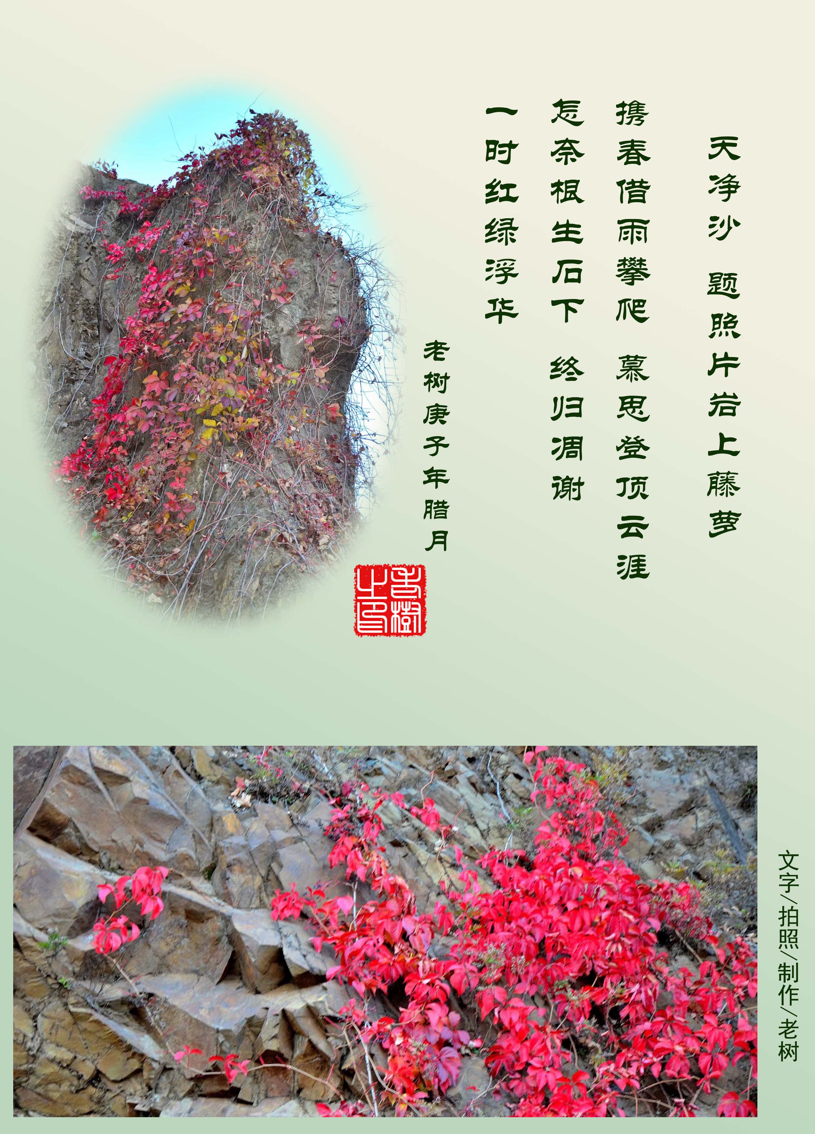 �쾻ɳ  ����Ƭ��������.jpg