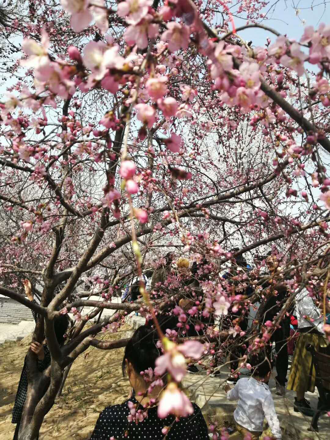 ΢��ͼƬ_20180327194247.jpg