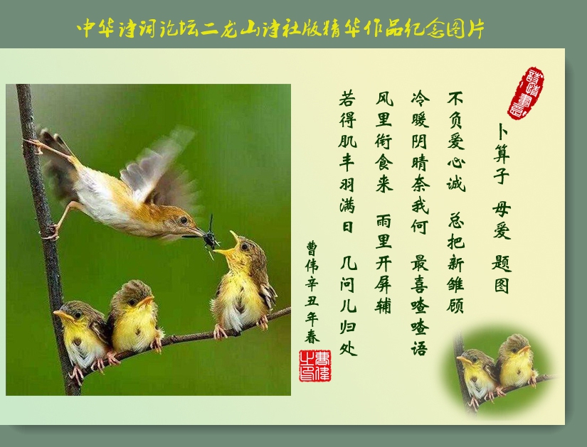 �����ӡ�ĸ�� ��ͼ ��ΰ������Ʒ.jpg