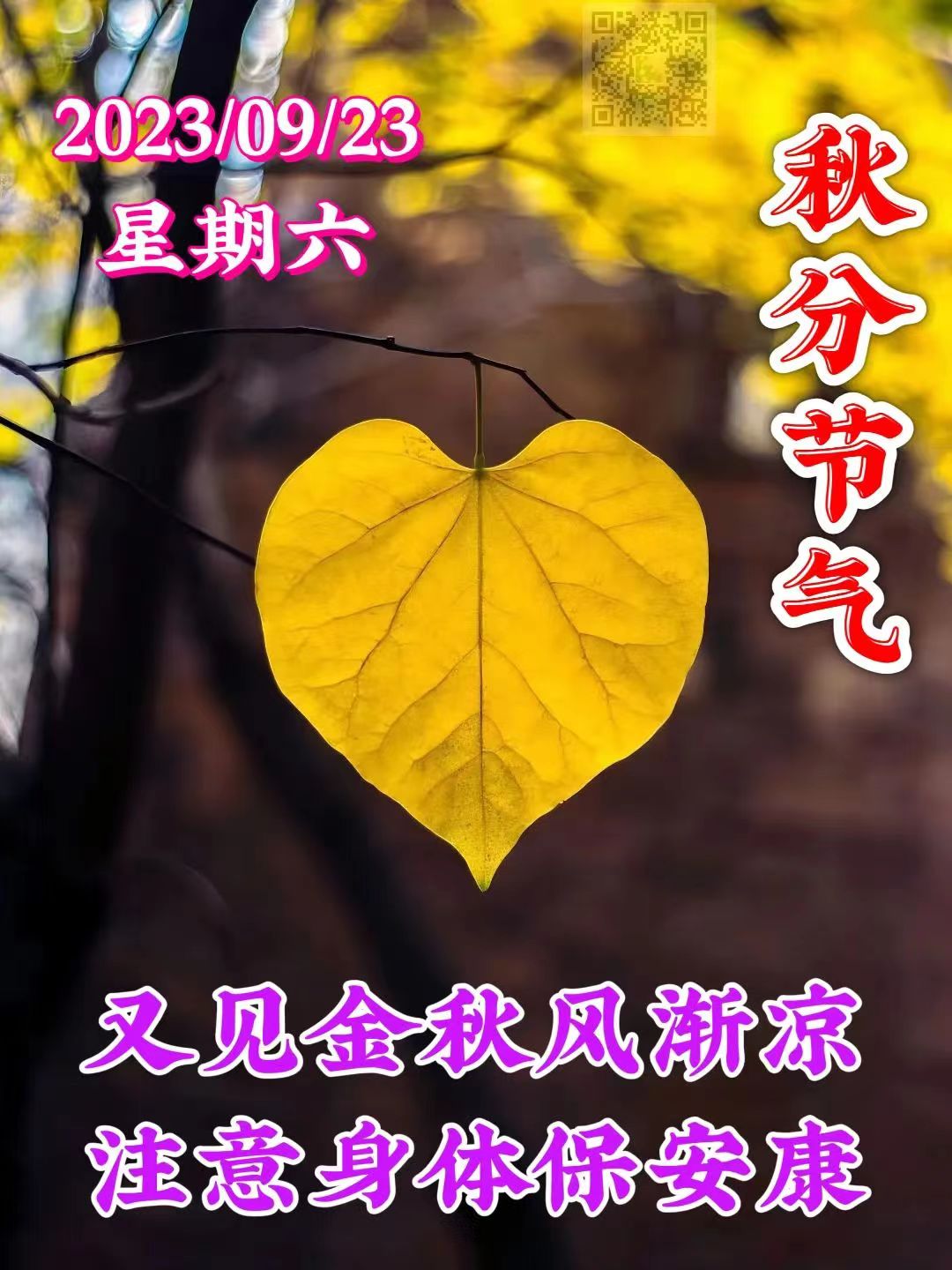 ΢��ͼƬ_20230923135019.jpg