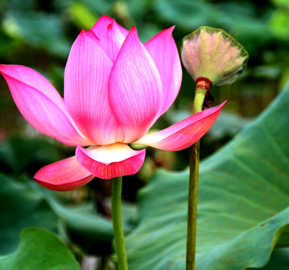 ��Ƭ 044.jpg