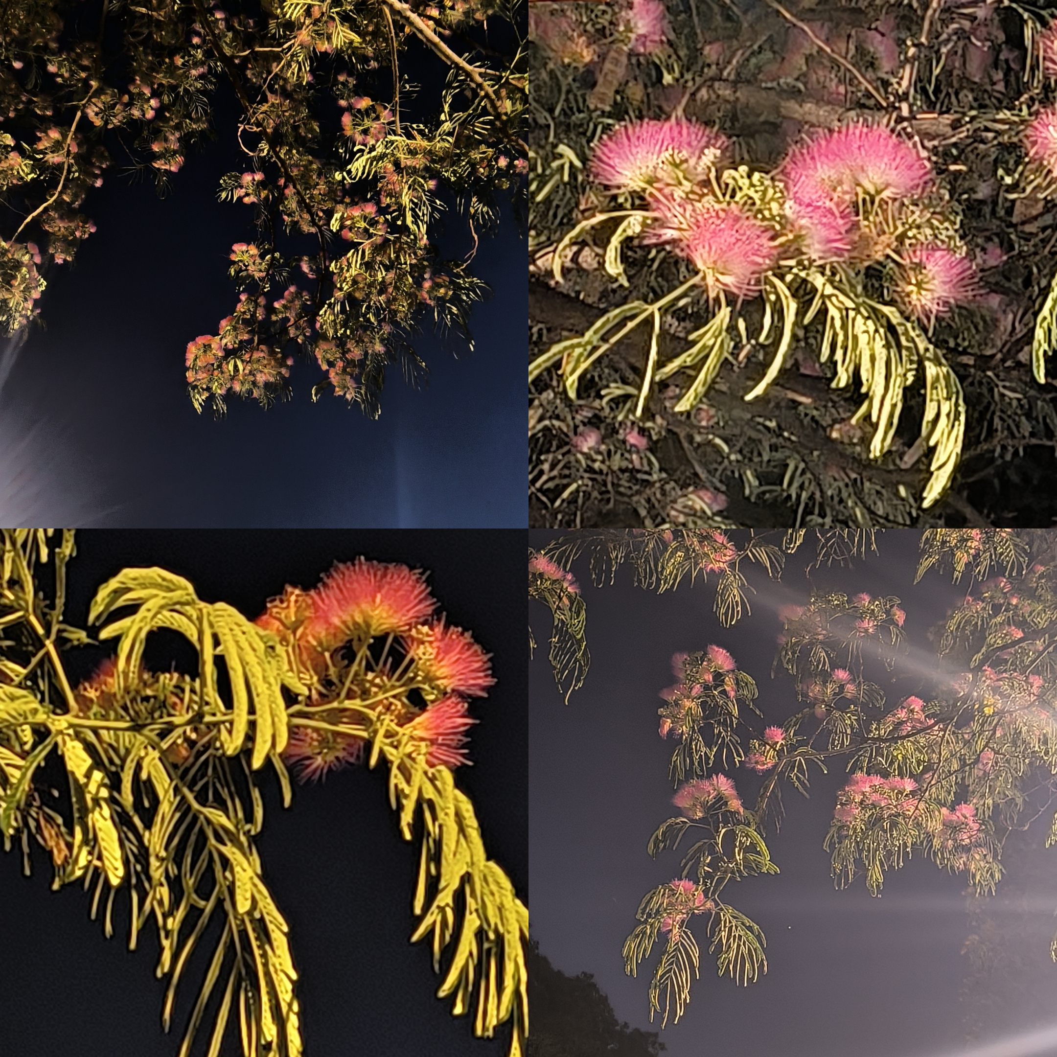 ΢��ͼƬ_20250525053837.jpg