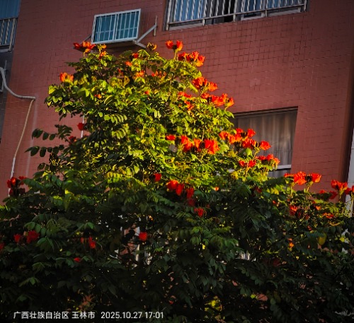 IMG_20251028_121054.jpg