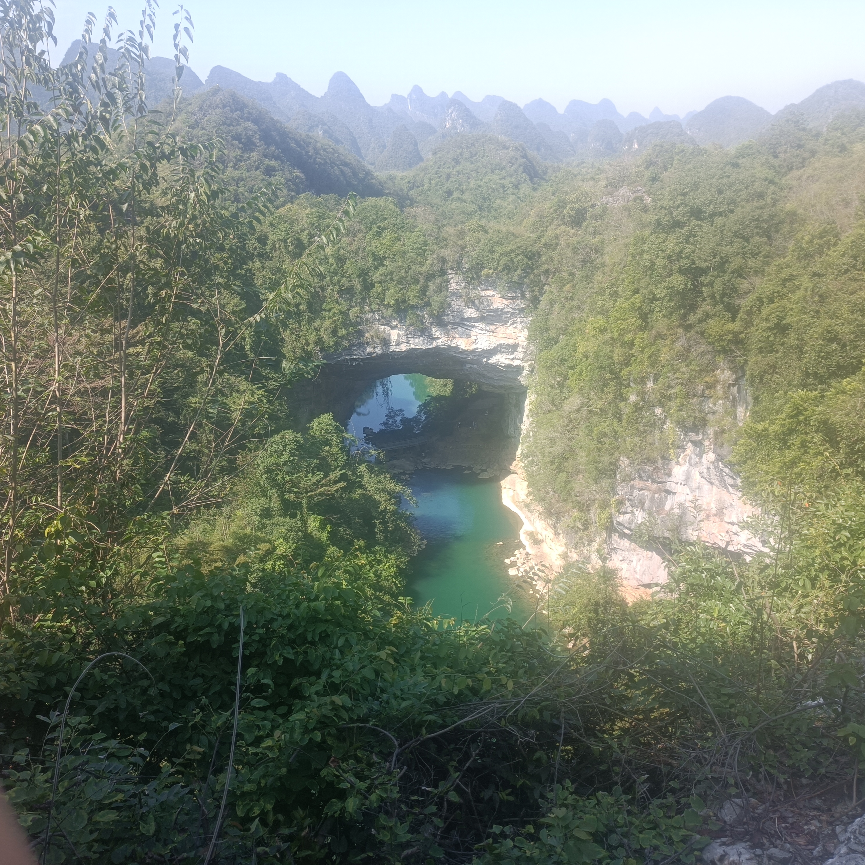 IMG_20251116_115540.jpg