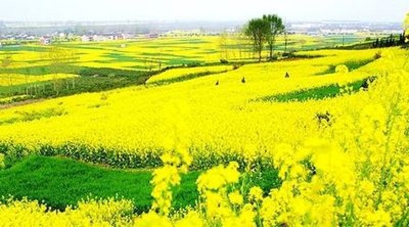 t01ccb53b1b7eef2fe9 - ����.jpg