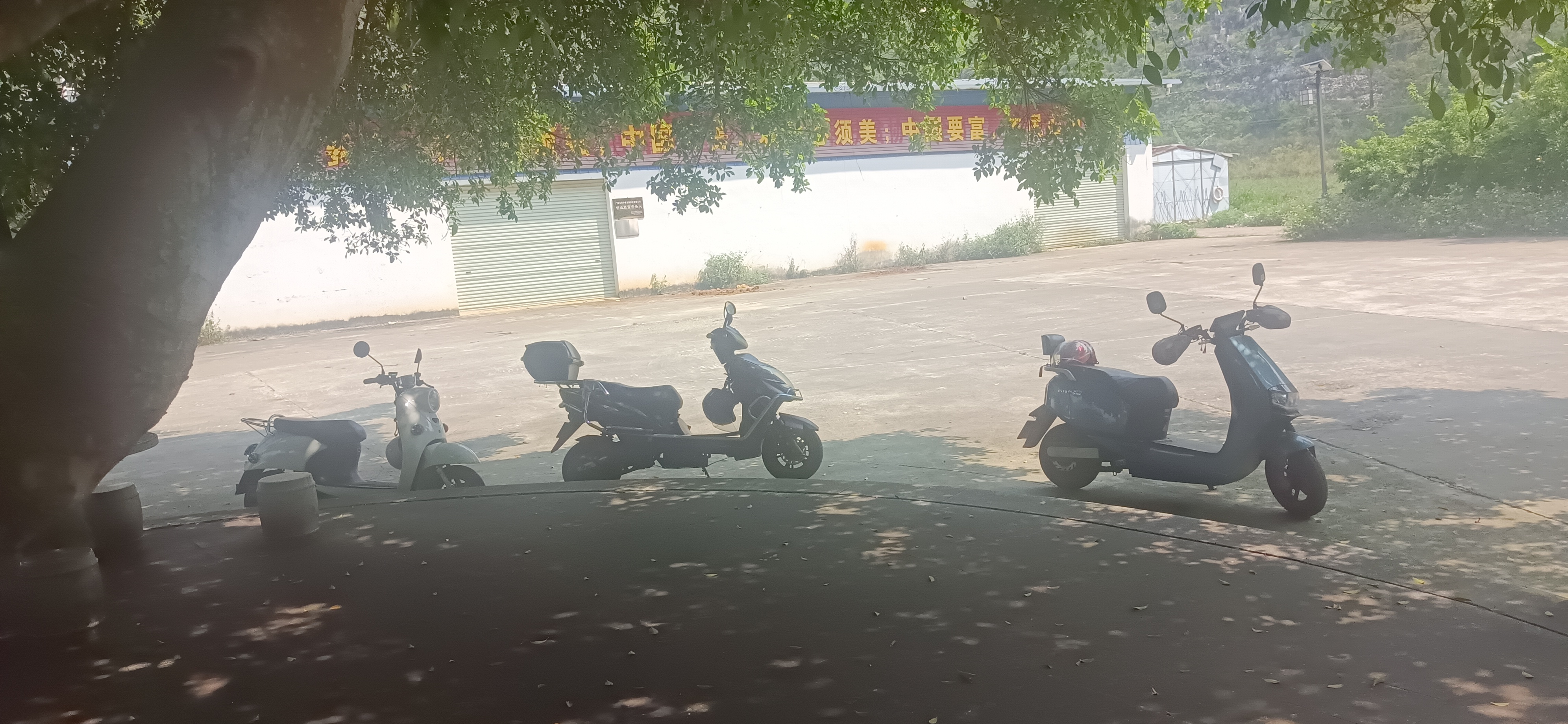 IMG_20260330_112018.jpg