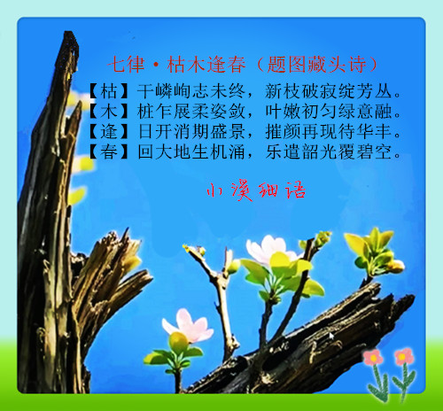 1777397322_3514_����.jpg